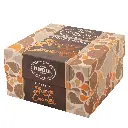 1500x1500-panettone-arancio-ciocco.webp