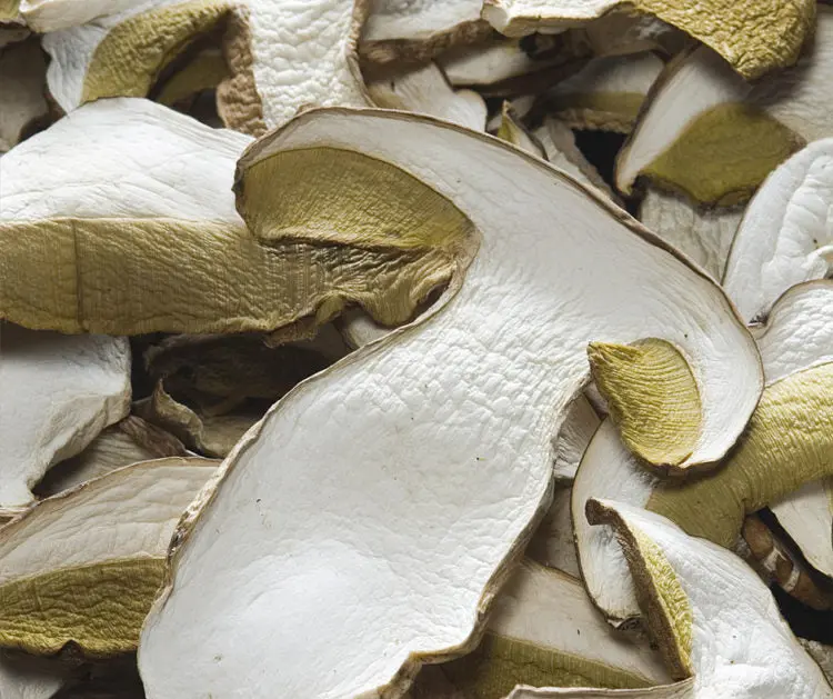 PORCINI(1).webp