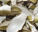 PORCINI(1).webp
