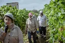 Calitro_vendemmia-71.webp