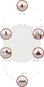 cicle_life_verticale-523x1024.webp
