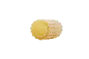 Maccherone_Macro-min.webp