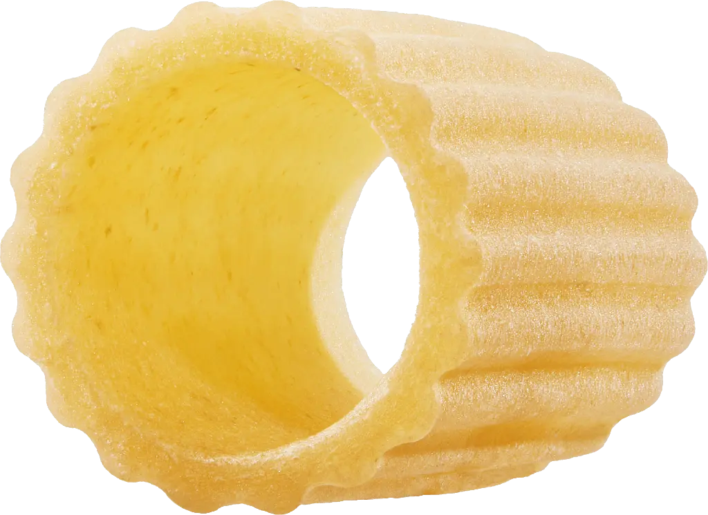 Rigatone-min.webp
