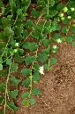 IMG_2920.webp