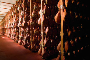 galloni parma ham
